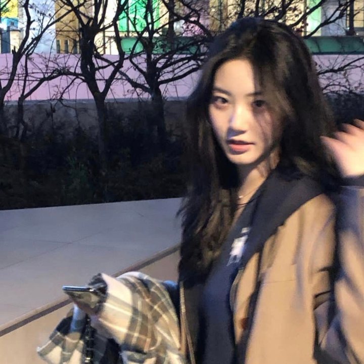 山有木兮木有心